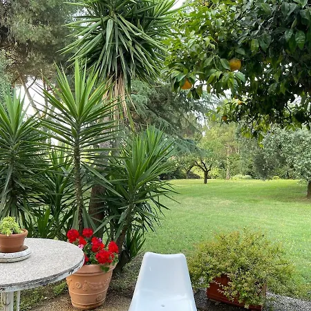 Spacious Romantic House Rom
