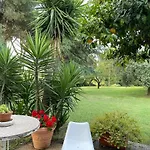 Spacious Romantic House Roma