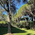 Spacious Romantic House Roma